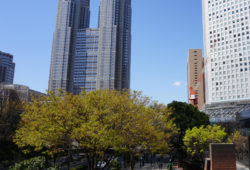 【募集情報】都営住宅の定期募集について 2019年11月（令和元年）