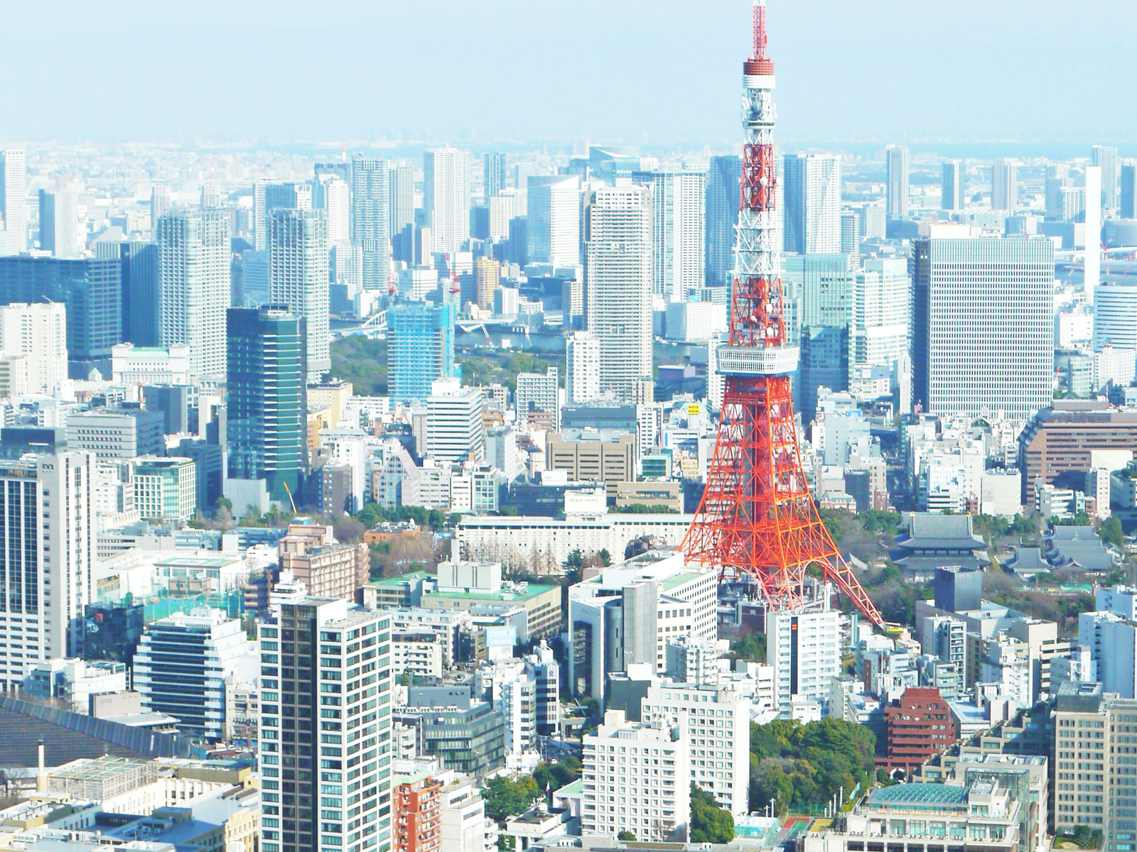 【抽選結果/速報】都営住宅の毎月募集について 2020年5月