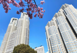 【募集情報】都営住宅の定期募集について 2021年5月（令和3年）